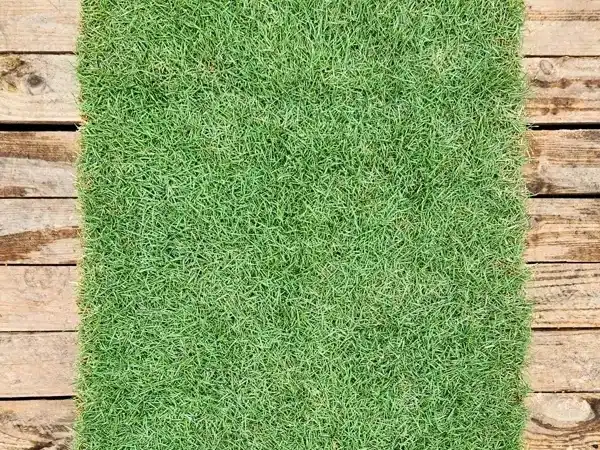 g1
